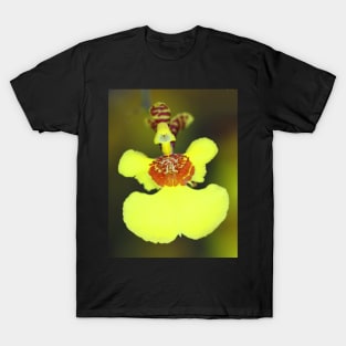 Yellow Orchid Macro T-Shirt